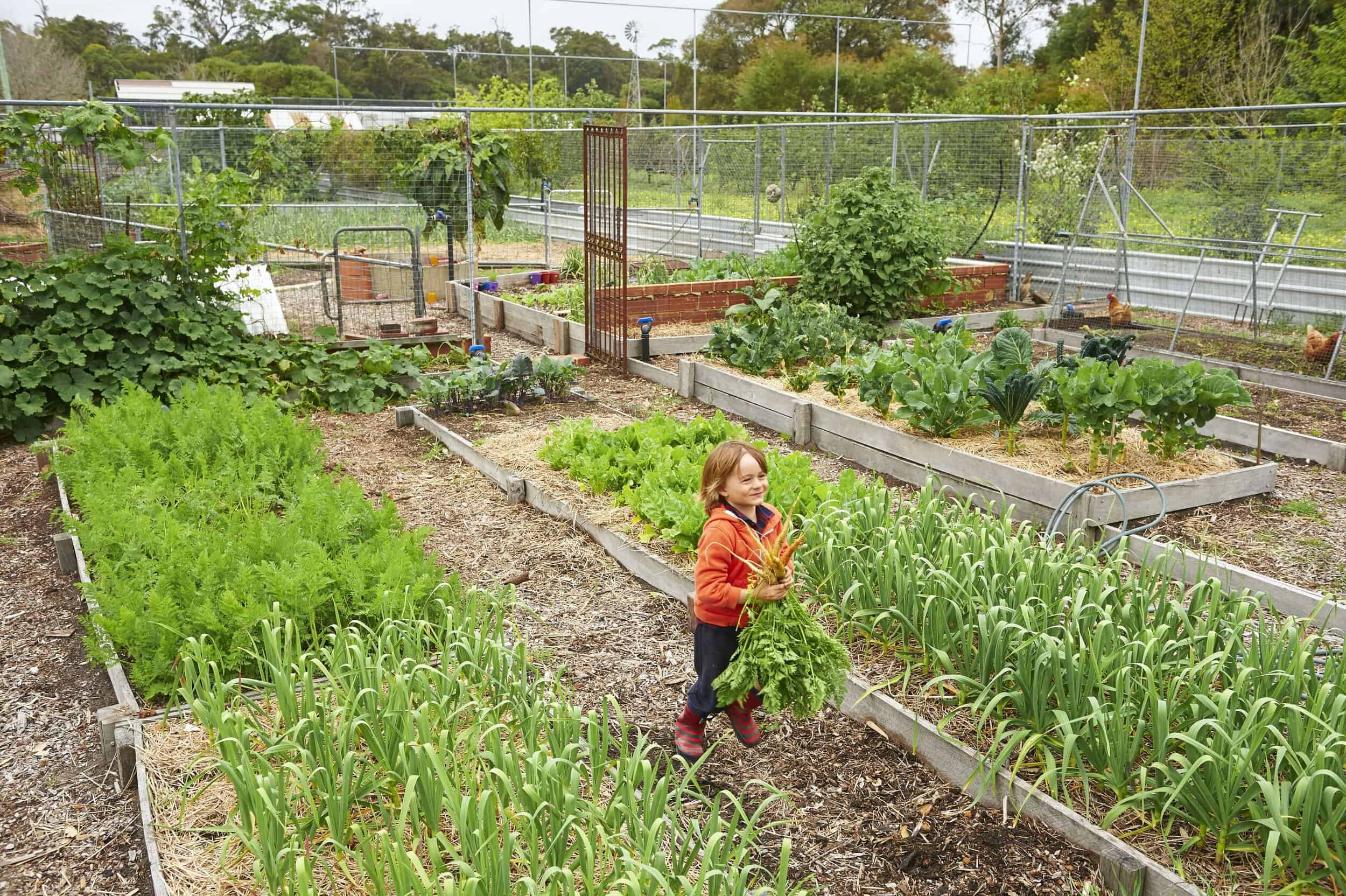 Burnside Organic Farm Bungalows Farm Wine